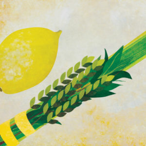 Lulav and Etrog Set