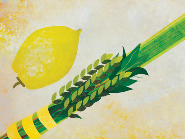 Lulav and Etrog Set
